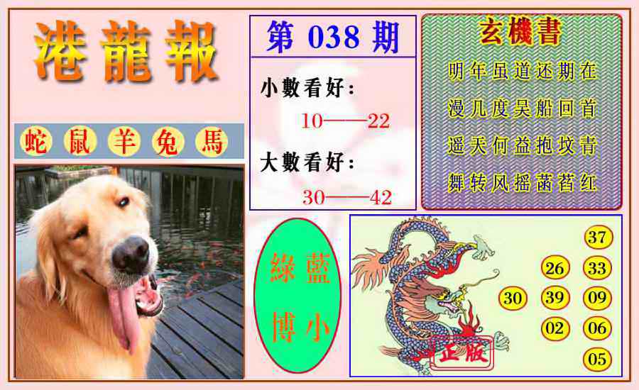 038期港龙报[图]